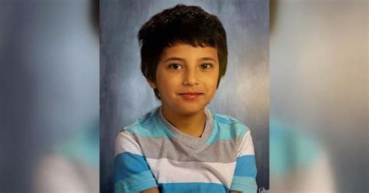 
Who is Hanaan Shahin, mother of 6-year-old Palestinian boy stabbed to death in Chicago? 